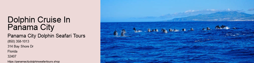 Panama City Dolphin Seafari Tours