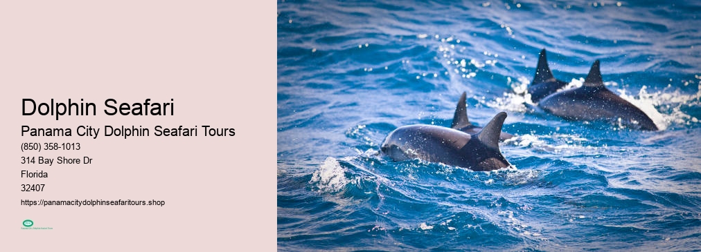 Panama City Dolphin Seafari Tours