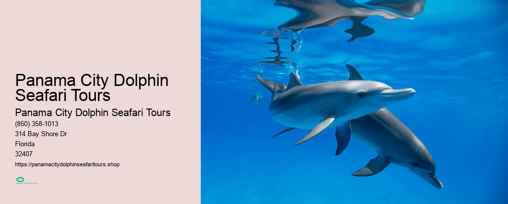 Panama City Dolphin Seafari Tours