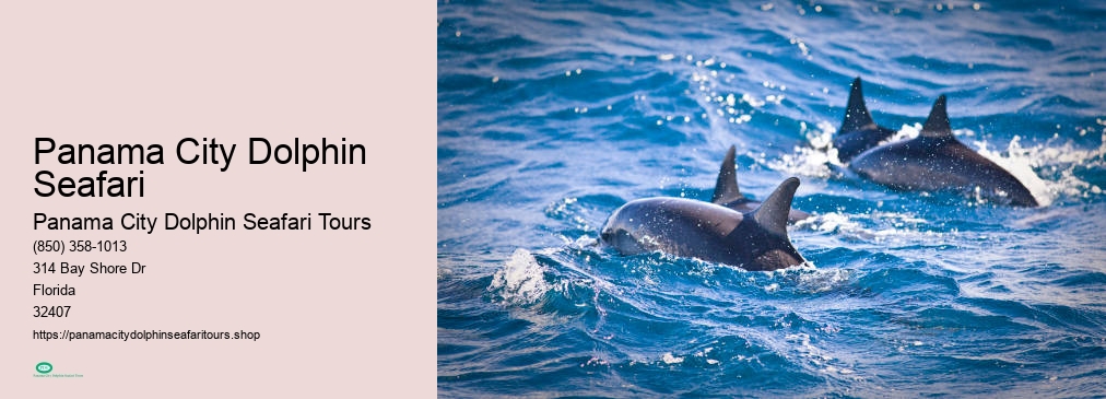 Panama City Dolphin Seafari Tours