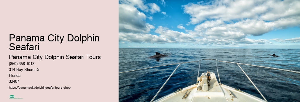 Dolphin Seafari