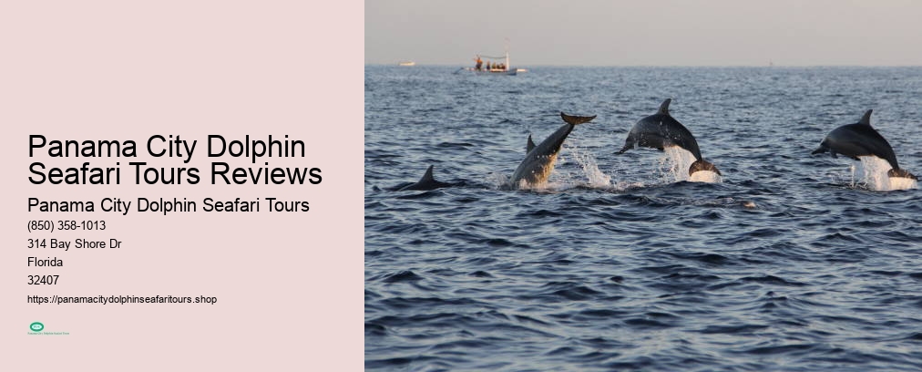 Dolphin Cruise In Panama City