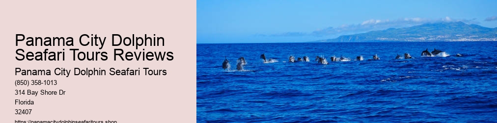 Dolphin Cruise In Panama City