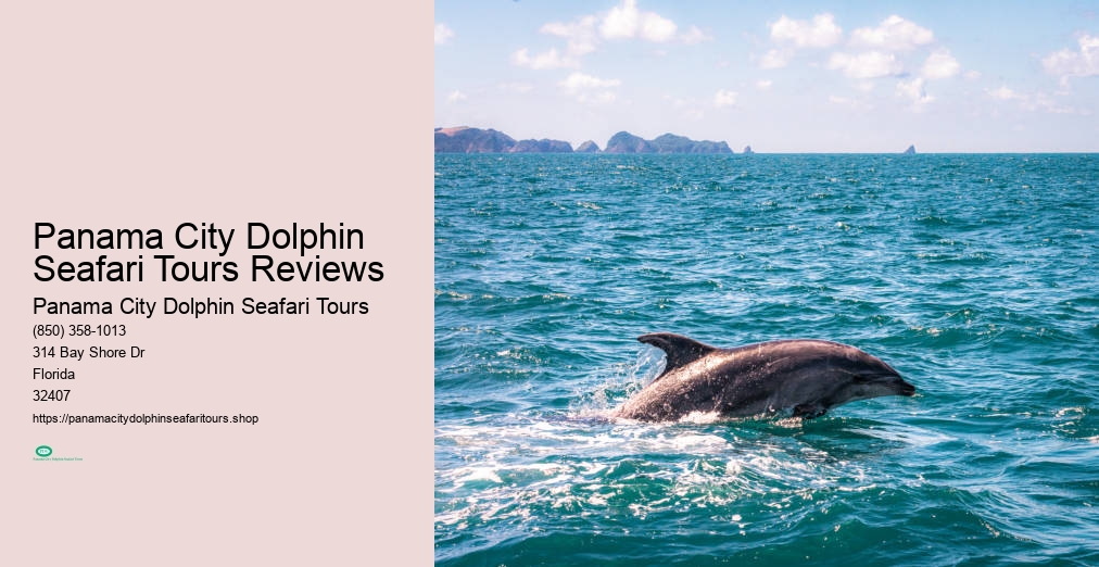 Dolphin Seafari